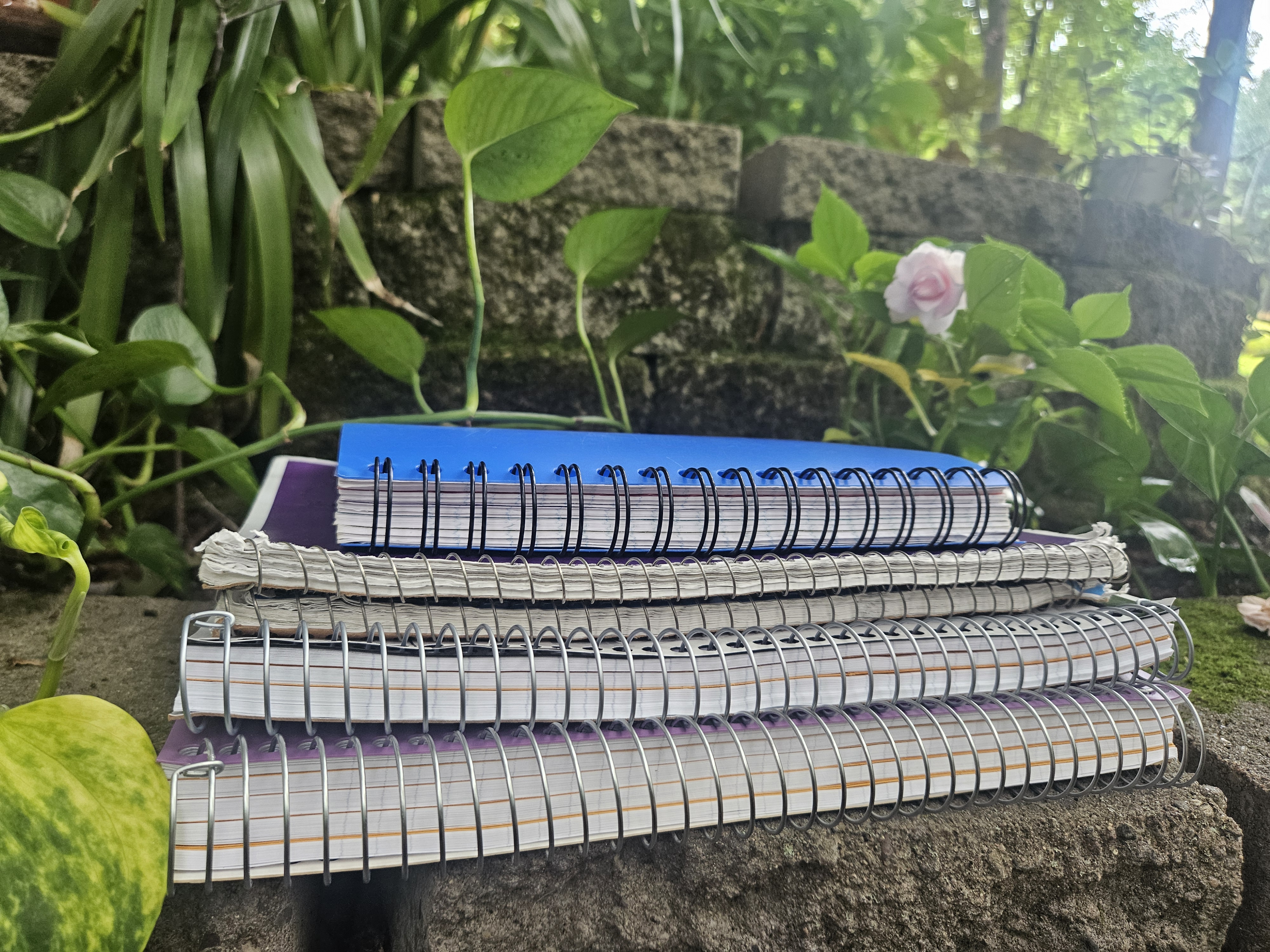 A Long Journey (6 Years, 5 Notebooks, 1 Encouraging Hygienist)